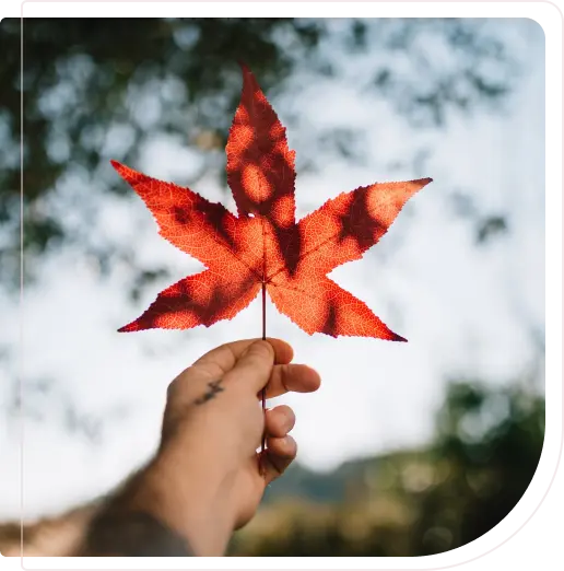 Instantly check if you qualify